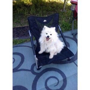 Mountain Tech Camping Chair - Low Profile Folding Chair for Camping